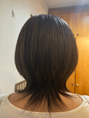 S'レイヤー（ウルフ）