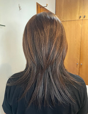 L'レイヤー(ウルフ)