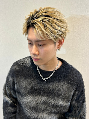 ガイルヘアー/フェザーショート