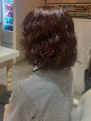 プードルパーマ