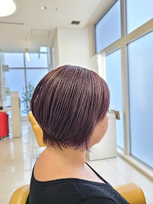 秋香るほんのりパープルカラー