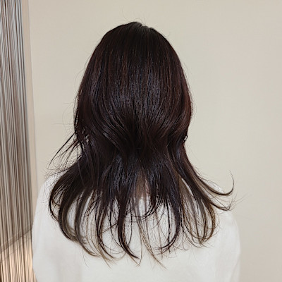 ハイレイヤー&シルバー系インナーカラー