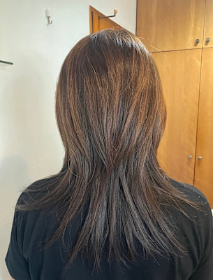 L'レイヤー(ウルフ)