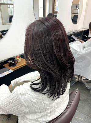 レッドブラウン/レッドカラー/暖色カラー/ワインレッド/赤髪