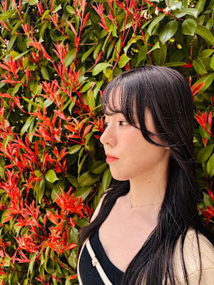 レイヤースタイル