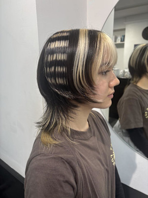 デザインカラー/ブロックカラー/ルーツカラー/個性派カラー