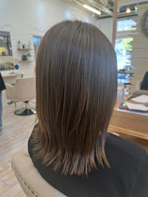 ミディアムレイヤー