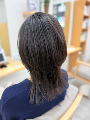 ウルフミディアムレイヤー