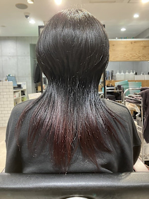 クラゲウルフ/クールショート