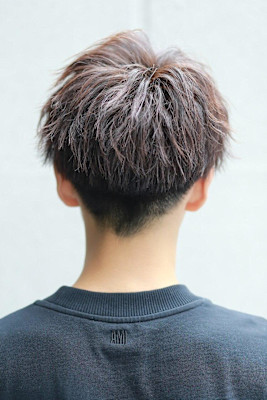 ソフツイマッシュV