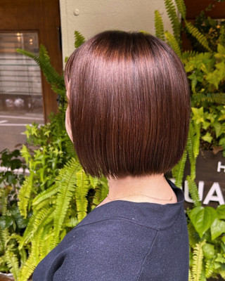 パサつき改善×上品コーラルブラウン