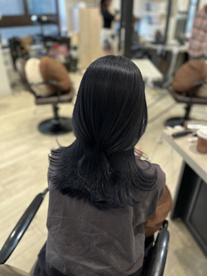 Mako ブルーブラック 地毛風 暗髪 トーンダウン 銀座