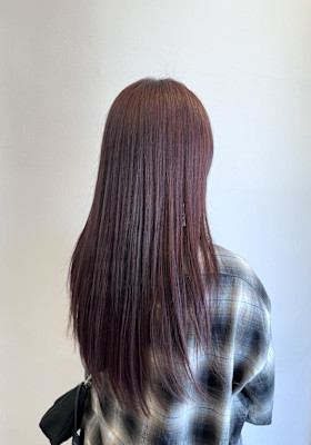 【マルタ担当】ラベンダーピンク