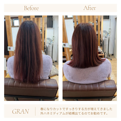 お客様髪質改善データ2043（そろそろ髪切りたい方へ）