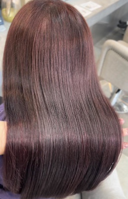 ハッシュカット/顔周りカット/ダークブラウン/シャギーカット