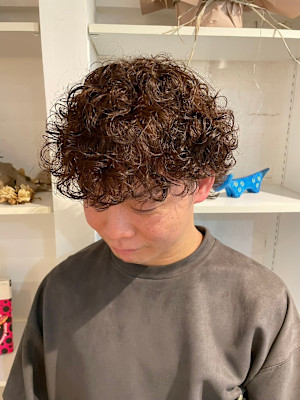 AMANEQ by THISCOVER. ×スタイル