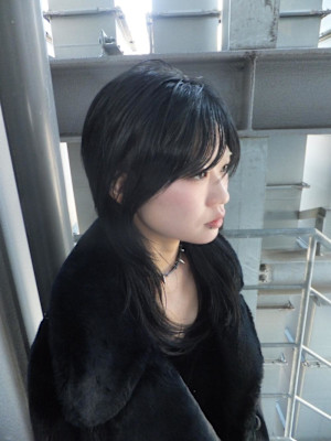 シャギーレイヤー