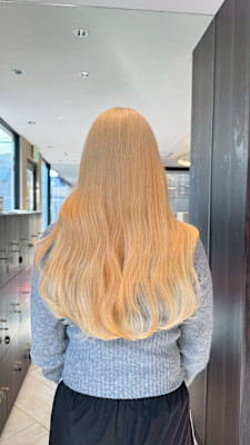 洗練アプリコットゴールド