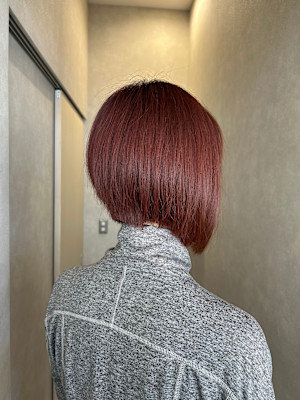 Mallow hair×スタイル