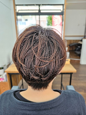 HAIR BRILLIANCE×スタイル