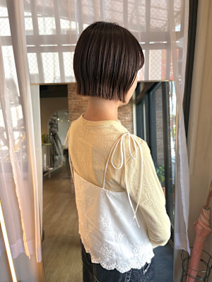 ぷつっとボブ