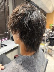 ツイスパウルフ