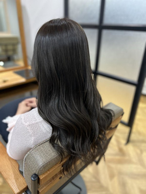 イルミナ　フォレスト