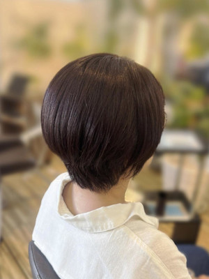 レイヤーショート