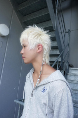 techno cut/mullet/pointbraids