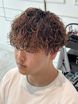 波巻きプードル