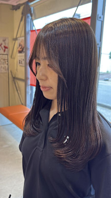 オリーブローレイヤー