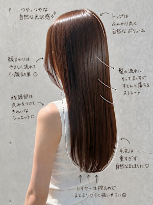 うる艶ナチュラルブラウンストレート