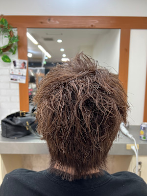 メンズショートウルフ
