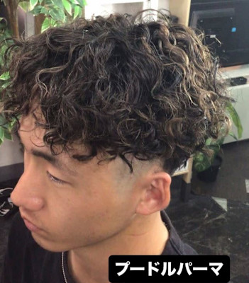 プードルパーマ