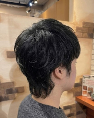 ナチュラルマッシュウルフ【399スタイル】