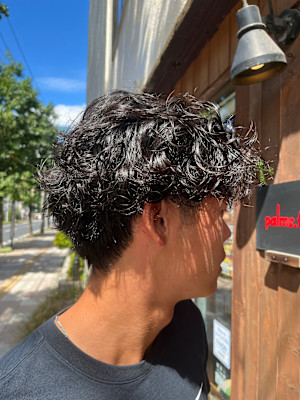 men'sサーフカール