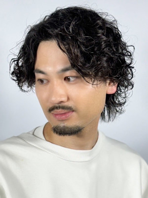 ツイスパウルフ