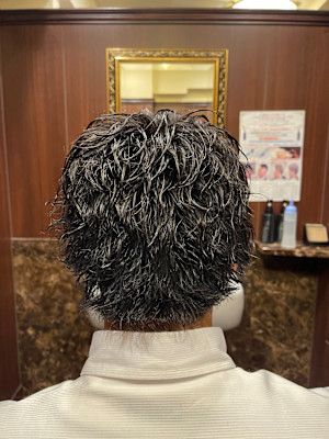 ソフトツイストショートウルフ