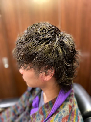 ウルフツイスパ