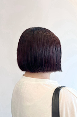 【マルタ担当】ボルドー×ボブ