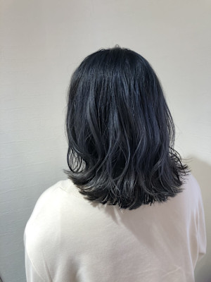 ボブディ
