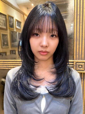 ハッシュウルフ/レイヤーウルフ/韓国風レイヤーカットA93