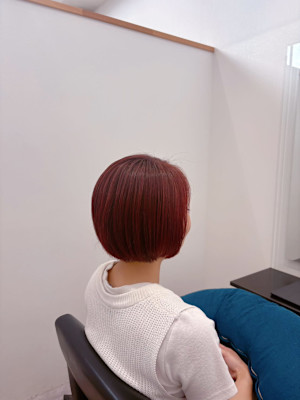 Hair Salon for D　 ×　レッドカラー