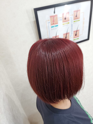 レッドボブ