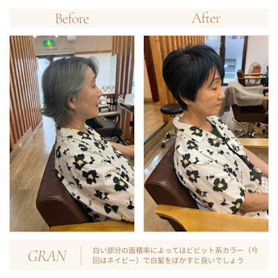 お客様髪質改善データ2071（白髪をぼかす）