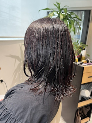 大人可愛い◎20代30代40代レッドブラウンシアーカラーセミ