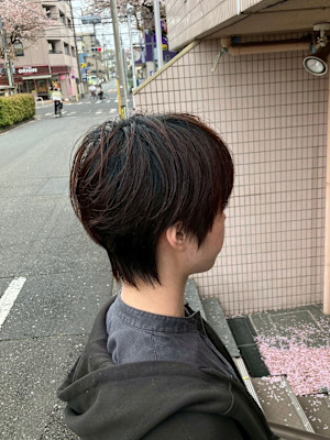 S'レイヤー