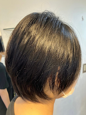 S'レイヤー(ウルフ)