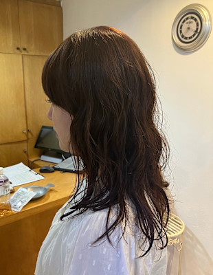 SL'レイヤー