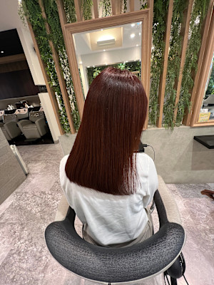 レッドブラウン艶感セミロングストレート